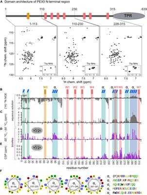 Membrane Interactions of the Peroxisomal Proteins PEX5 and PEX14